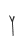 Y